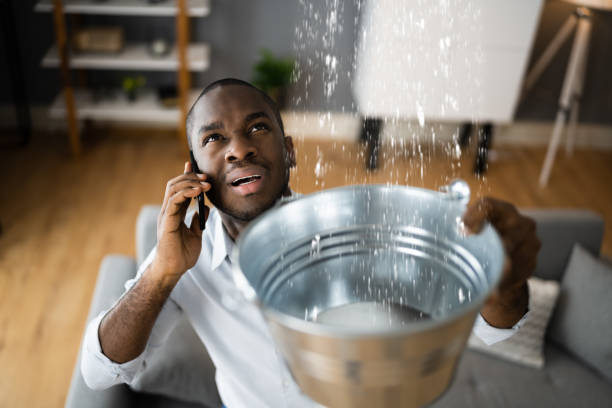Best Mold removal after water damage  in Kershaw, SC