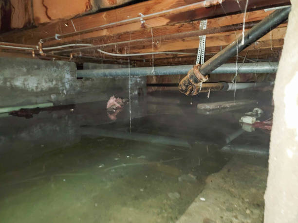 Best Ceiling water damage repair  in Kershaw, SC