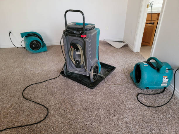 Best 24/7 water damage repair  in Kershaw, SC