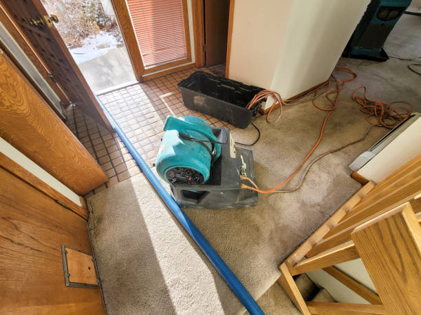 Best Water damage restoration near me  in Kershaw, SC
