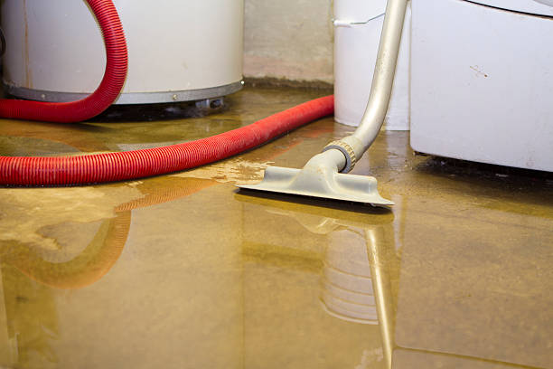 Best Sewage cleanup and water damage restoration  in Kershaw, SC