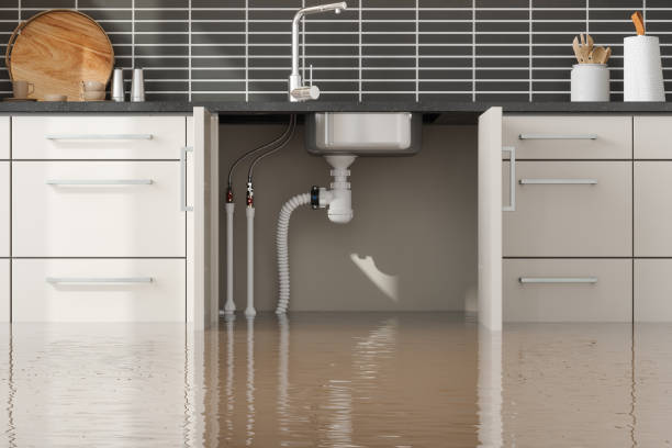 Best Basement water damage restoration  in Kershaw, SC
